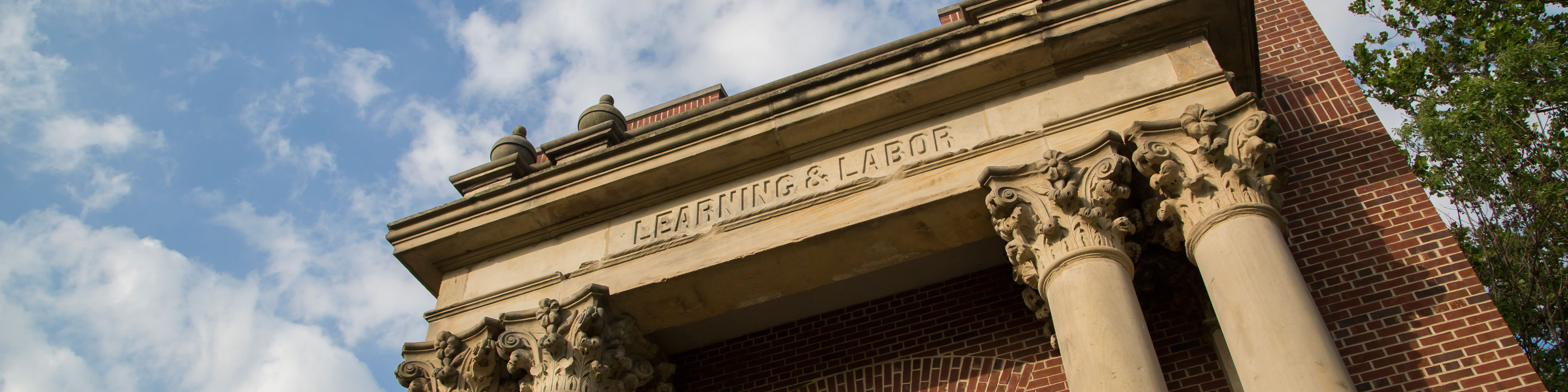 background image of learning and labor