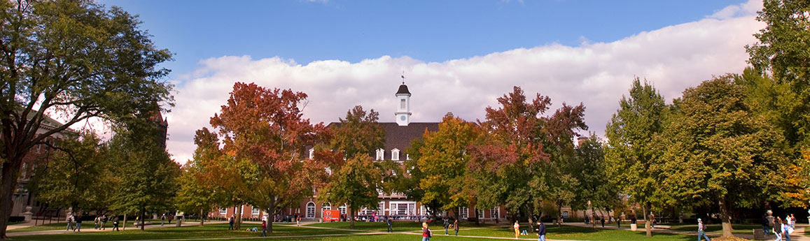 background image of the quad